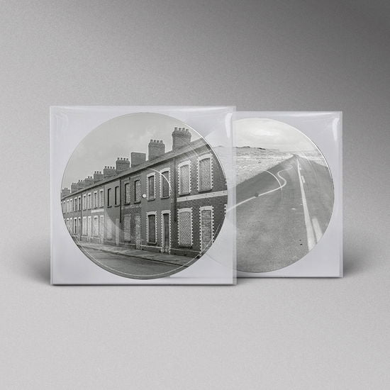 Manic Street Preachers - Critical Thinking (Limited Picture Disc)
