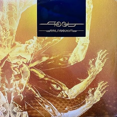 Tool - Fear Inoculum (Vinyl - 2021 New Number - 3 Disc Life Of - Wide/Black)