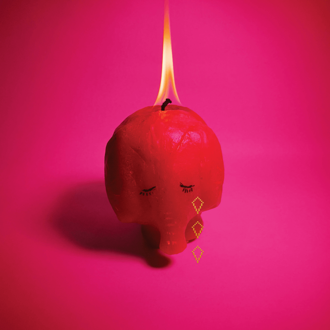 Arcade Fire - Pink Elephant (Standard LP)