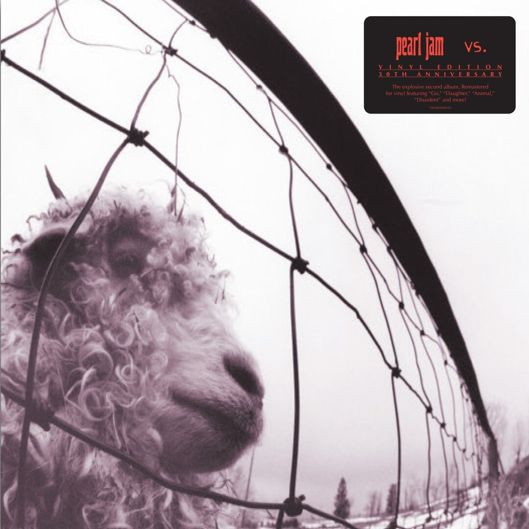Pearl Jam - Vs. (30th Anniversary Edition)