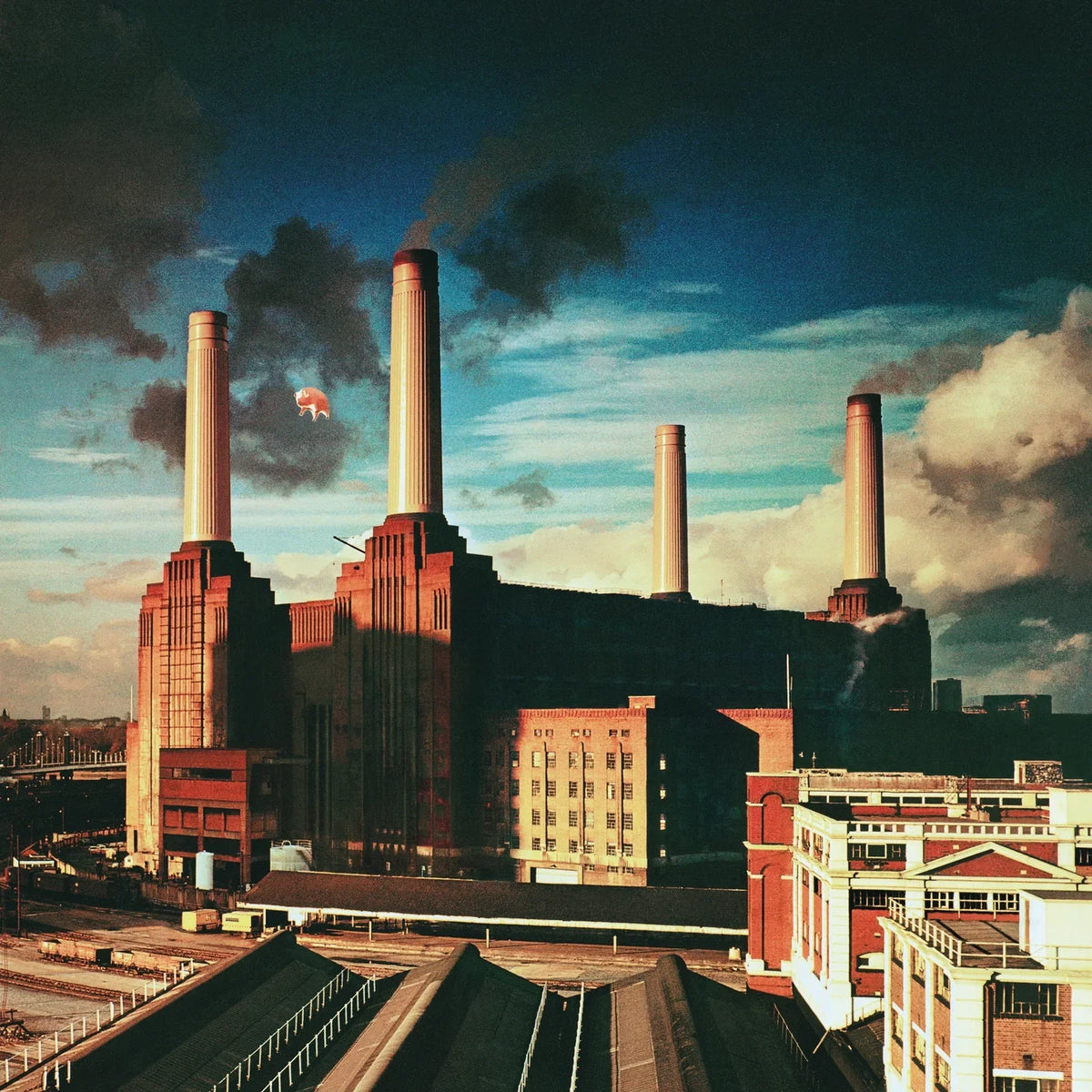 Pink Floyd - Animals