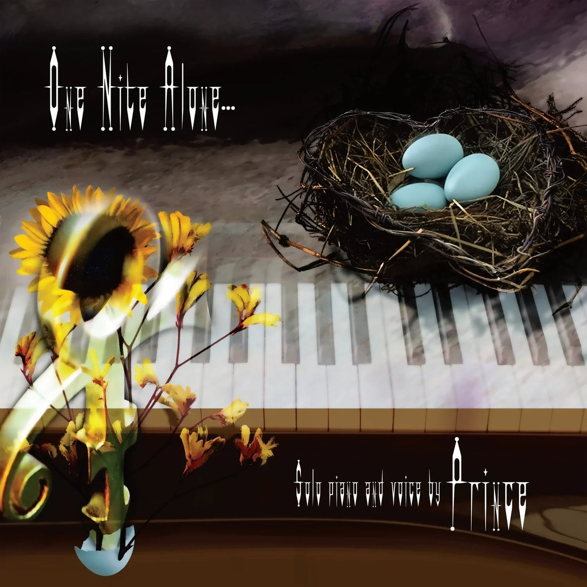 Prince - One Nite Alone... (Solo Piano and Voice by Prince)