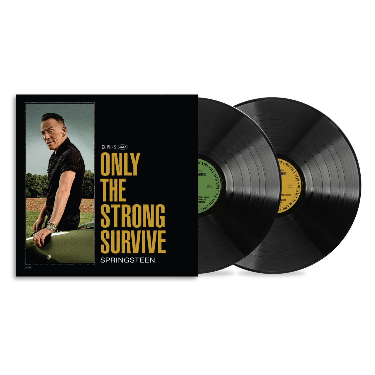 Bruce Springsteen - Only the Strong Survive