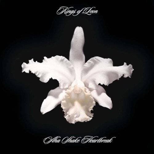 Kings Of Leon - Aha Shake Heartbreak